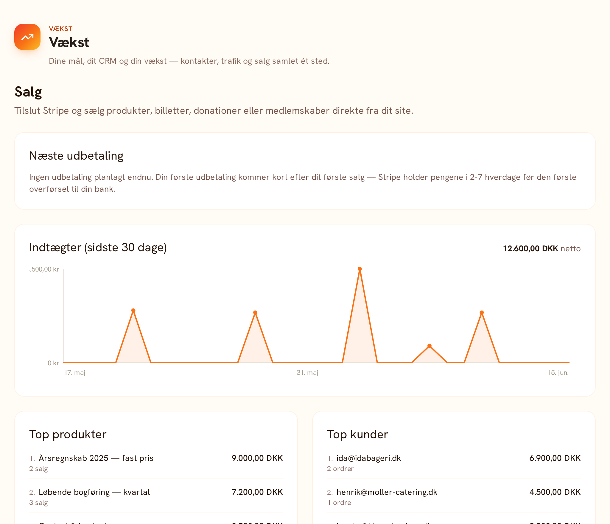 Salg i Welltoasted — indtægter, top-produkter og ordrer via Stripe